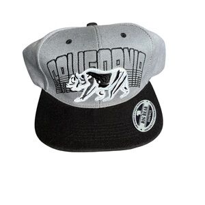 California Gray and Black Snapback Hat